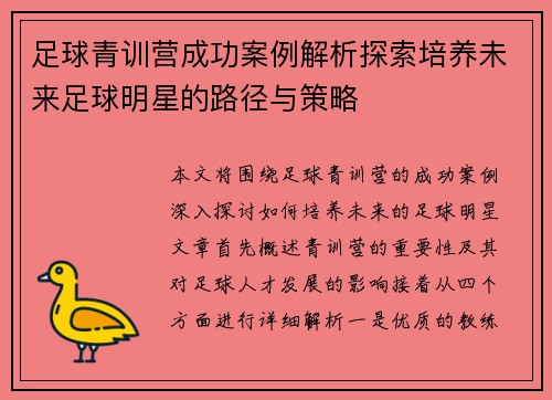 足球青训营成功案例解析探索培养未来足球明星的路径与策略