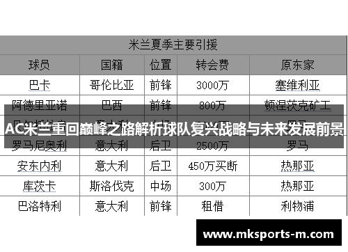 AC米兰重回巅峰之路解析球队复兴战略与未来发展前景