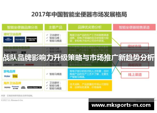 战队品牌影响力升级策略与市场推广新趋势分析