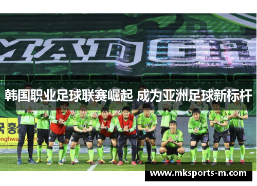 韩国职业足球联赛崛起 成为亚洲足球新标杆